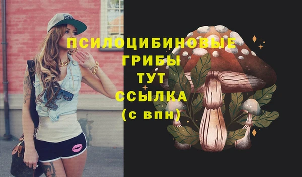 бошки Алзамай
